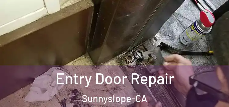  Entry Door Repair Sunnyslope-CA