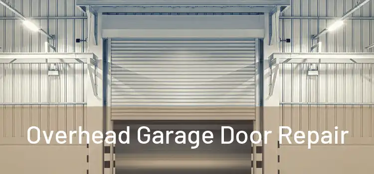  Overhead Garage Door Repair 