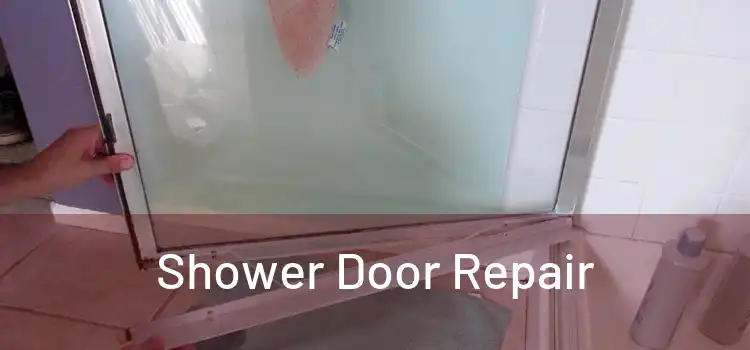  Shower Door Repair 